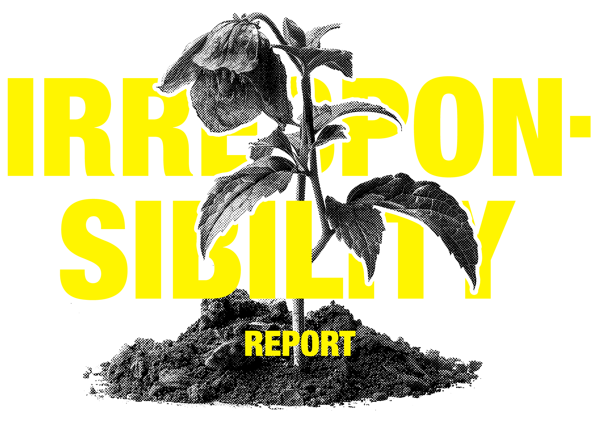 Image text reads 'Irresponsibility Report' with an overlay image of a flower in front of the text graphic